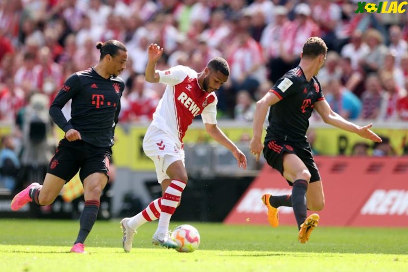 Bayern Munich sẽ tiếp đón FC Koln trên sân nhà 