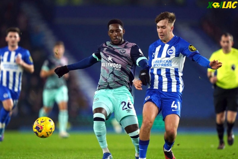 Brentford sẽ tiếp đón Brighton trên sân nhà Brentford sẽ tiếp đón Brighton trên sân nhà