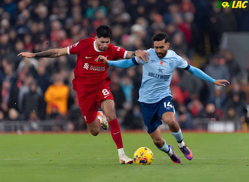 Liverpool sẽ đối đầu với Brentford tại vòng 2 Ngoại Hạng Anh