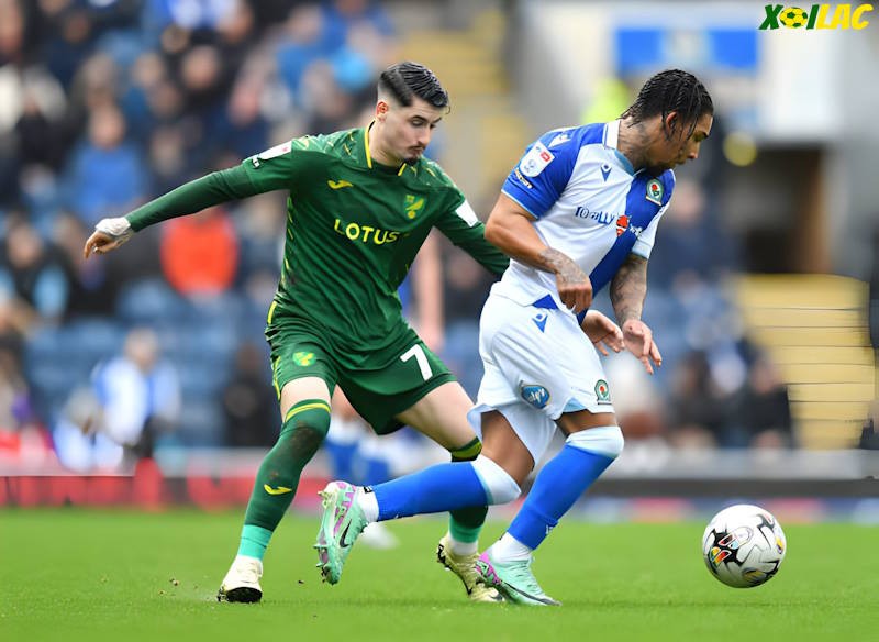 Norwich City sẽ tiếp Blackburn Rovers trên sân nhà Norwich City sẽ tiếp Blackburn Rovers trên sân nhà