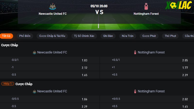 Newcastle vs Nottingham